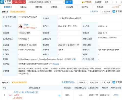 计算机系统服务 数字化转型的基石与未来引擎